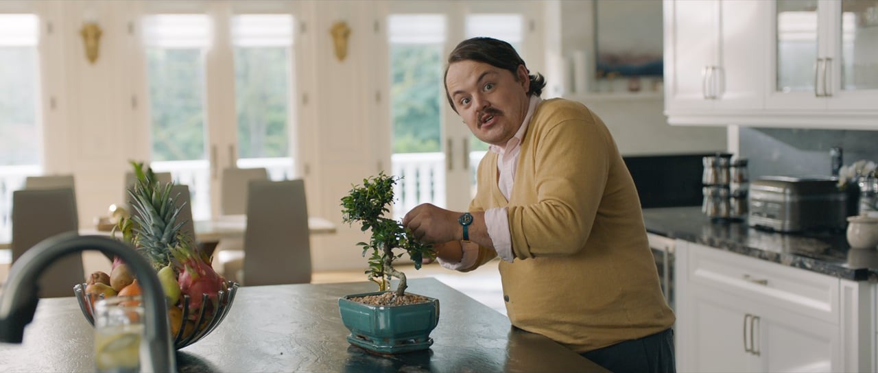 Visa / TIFF "Celebrity Assistant"